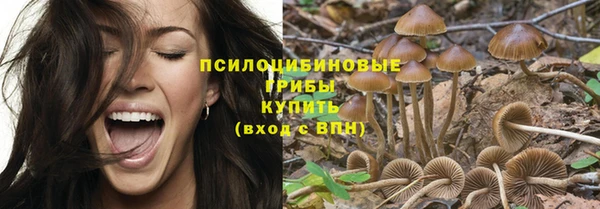 бутират Бугульма